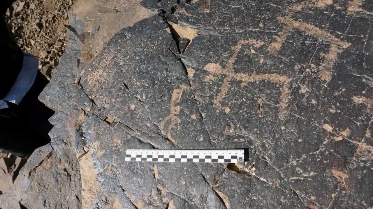 "Ko'kshashir" darasida qoyatosh suratlari topildi.