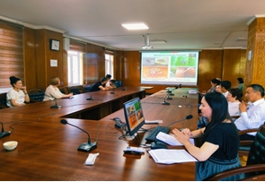 The "heavenly" horses of Davani. What zoology says